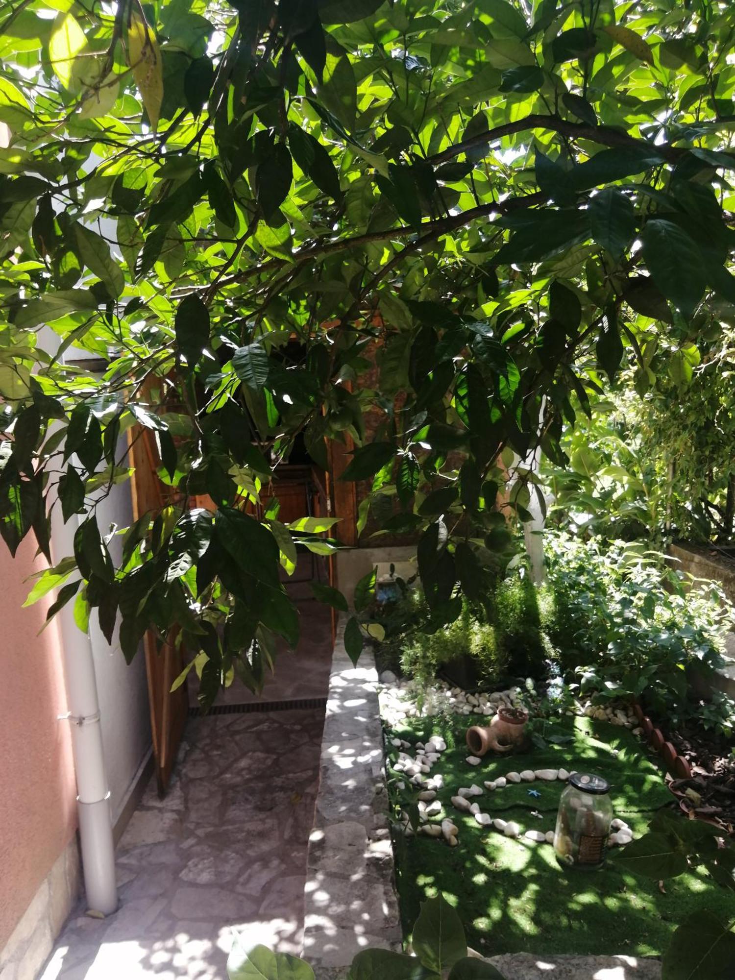 Ninic Family Apartments Tivat Bagian luar foto