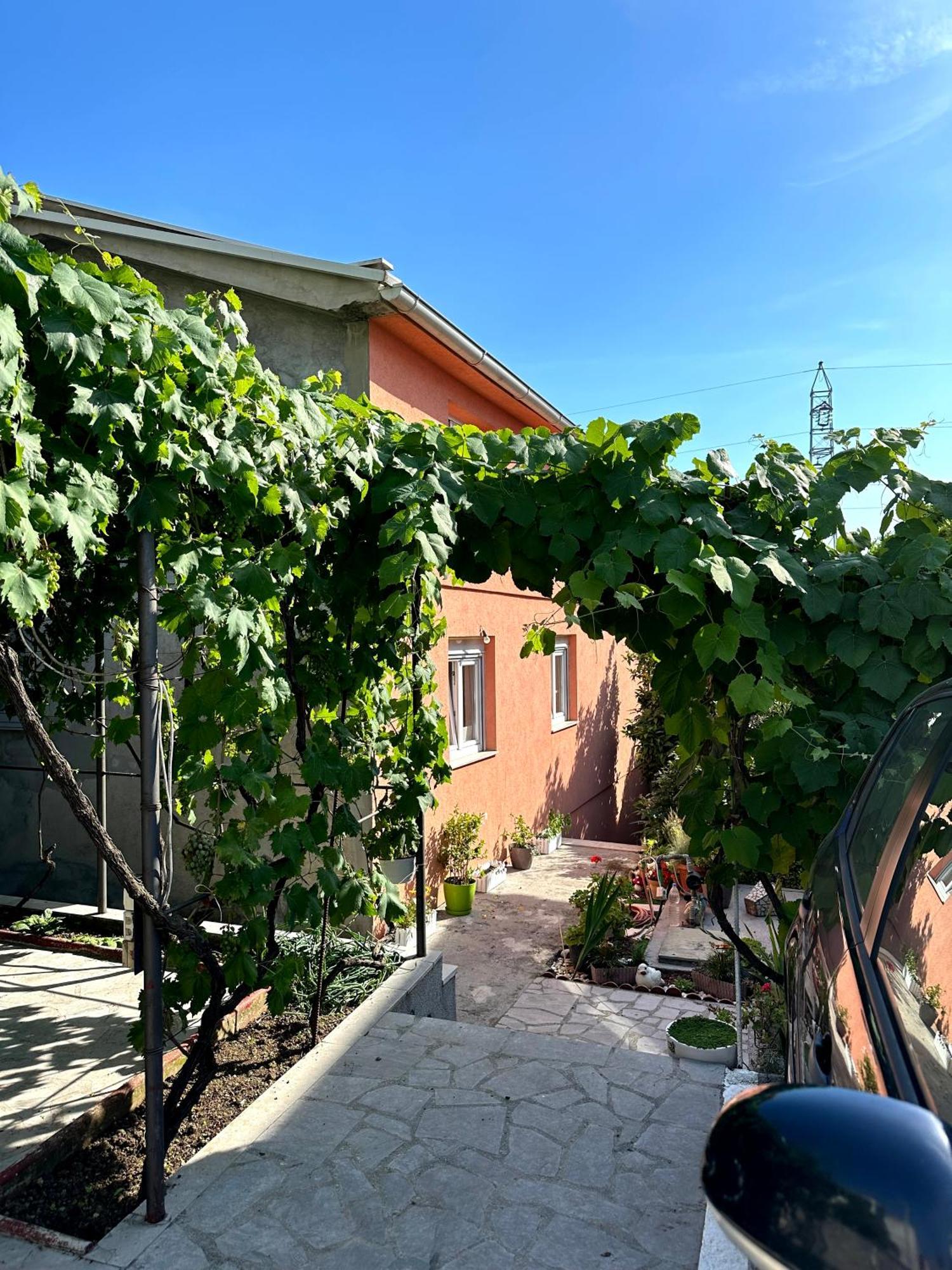 Ninic Family Apartments Tivat Bagian luar foto